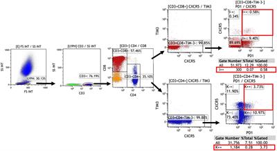 CXCR5+TIM-3-PD-1+ stem-like cytotoxic CD8+ T cells: elevated in chronic rhinosinusitis and associated with disease severity